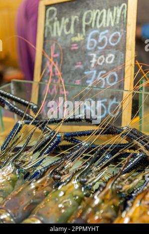 Thailändische Riesengarnelen im Angebot auf dem Jodd Fairs Night Market in Rama iX, Bangkok, Thailand Stockfoto