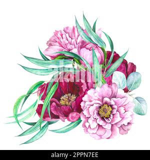 Aquarell-Darstellung der Zusammensetzung rosa Pfingstrosen und Eukalyptusblätter isoliert auf weißem Hintergrund. Stockfoto