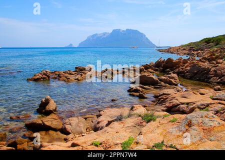 Blick auf die Insel Tavolara von der Bucht von Porto Istana an der Costa Smeralda („Smaragdküste“) in der Nähe von Olbia in Sardinien, Italien Stockfoto