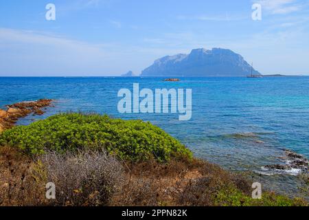 Blick auf die Insel Tavolara von der Bucht von Porto Istana an der Costa Smeralda („Smaragdküste“) in der Nähe von Olbia in Sardinien, Italien Stockfoto