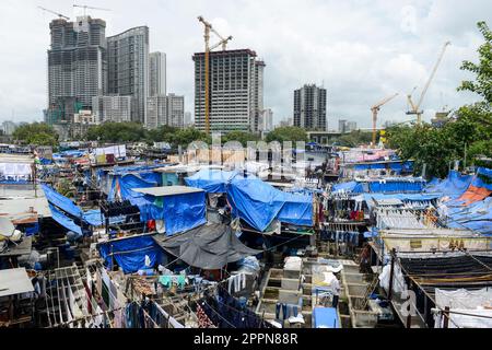 INDIEN, Mumbai, Slum mit Dhobi Ghat-Wäscherei und dem Bau eines neuen Wolkenkratzers im Vorort Mahalaxmi, Mahalakshmi Dhobi Ghat ist eine Freiluft-Wäscherei, die Menschen, die hier arbeiten, heißen Dhobi Wallah - Washerman Stockfoto