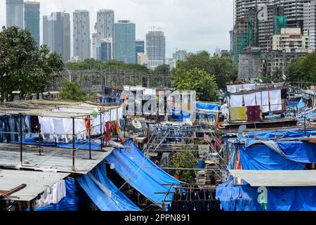 INDIEN, Mumbai, Slum mit Dhobi Ghat-Wäscherei und dem Bau eines neuen Wolkenkratzers im Vorort Mahalaxmi, Mahalakshmi Dhobi Ghat ist eine Freiluft-Wäscherei, die Menschen, die hier arbeiten, heißen Dhobi Wallah - Washerman Stockfoto