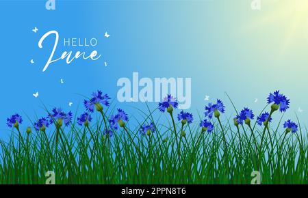 Begrüßungsbanner für den Sommer. Gras und Blumen im rustikalen Sommerhintergrund. Vektordarstellung. Stock Vektor