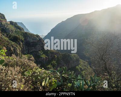 Steile Klippen von Barranco de Arure mit stacheligen Birnkaktus und Agave im Vordergrund. Valle Gran Rey in La Gomera, Kanarische Inseln, Spanien. Stockfoto