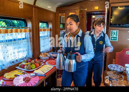 Innerhalb des Expreso de la Robla Luxuszuges, der durch Bilbao nach Leon im Norden Spaniens, Europa fährt. Das Innere des Restaurantwagens im frühstückswagen tim Stockfoto