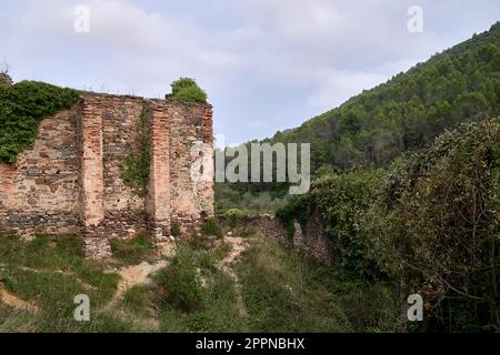 Jinquer, Castellon, Spanien. Häuser in Ruinen eines verlassenen Dorfes in der Mitte der Vegetation.Berg, Gruppe von Häusern. Straßen, Spanischen Bürgerkrieg Stockfoto