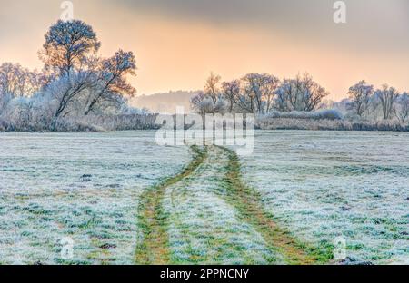 Winterlandschaft mit Waldbäumen in einem Landschaftsschutzgebiet namens Goachat bei Schrobenhausen (Bayern) (Deutschland) Stockfoto