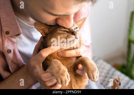 Porträt von Menschen, die sich küssen und sanft in den Armen halten blaue abyssinische Katze auf dem Sofa zu Hause in der Sonne. Schönes und zufriedenes Haustier. Liebe für die Stockfoto