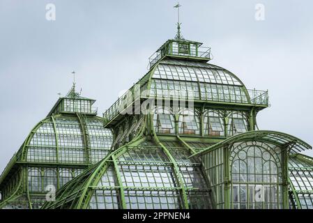 Die Kuppeln des Palmenhauses aus Schmiedeeisen, Gusseisen und Glas im Schlosspark Schönbrunn unter grauem Himmel, Wien, Österreich Stockfoto
