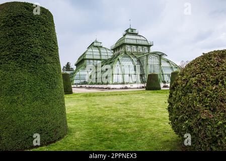 Die Kuppeln des Palmenhauses aus Schmiedeeisen, Gusseisen und Glas im Schlosspark Schönbrunn unter grauem Himmel, Wien, Österreich Stockfoto