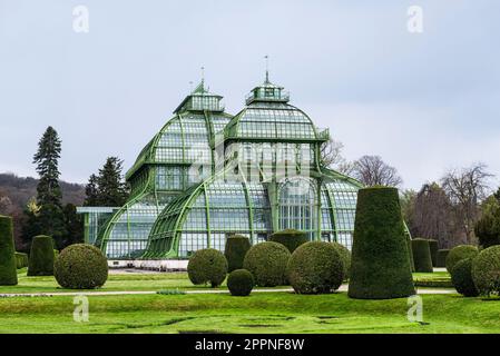 Die Kuppeln des Palmenhauses aus Schmiedeeisen, Gusseisen und Glas im Schlosspark Schönbrunn unter grauem Himmel, Wien, Österreich Stockfoto