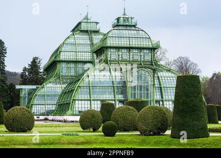 Die Kuppeln des Palmenhauses aus Schmiedeeisen, Gusseisen und Glas im Schlosspark Schönbrunn unter grauem Himmel, Wien, Österreich Stockfoto