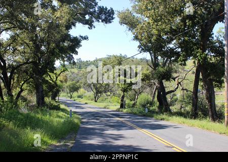 Soda Canyon Road, Napa, Kalifornien Stockfoto