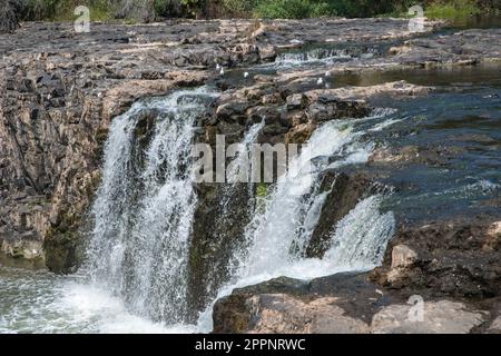 Haruru Falls, Bay of Islands, Nordinsel, Neuseeland Stockfoto