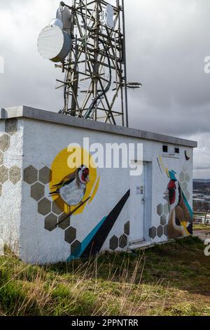 Vogel- und Bienengemälde von Paco Graff, 2020 auf dem Versorgungsgebäude auf dem Dundee Law Stockfoto