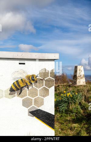 Vogel- und Bienengemälde von Paco Graff, 2020 auf dem Versorgungsgebäude auf dem Dundee Law Stockfoto