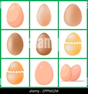 Hühnereier-Set. Vektordarstellung auf weißem Hintergrund isoliert Stock Vektor