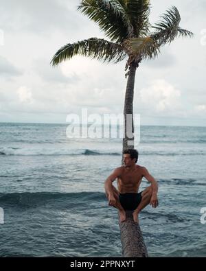 Ein Mann, der auf einer gebogenen Palme sitzt. Hochwertiges Foto. Während des Sonnenuntergangs auf Hawaiis Insel Oahu. Stockfoto