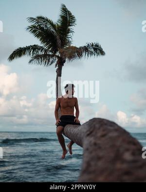 Ein Mann, der auf einer gebogenen Palme sitzt. Hochwertiges Foto. Während des Sonnenuntergangs auf Hawaiis Insel Oahu. Stockfoto