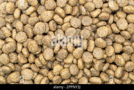 Trocken Haustier Nahrung Textur Hintergrund. Futter für Katzen und Hunde Muster. Haufen granulierter Tierfuttermittel. Granulat guter Ernährung für Hunde und Katzen Stockfoto