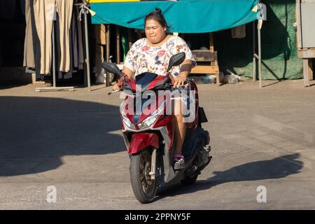 SAMUT PRAKAN, THAILAND, FEBRUAR 07 2023, Eine Frau auf einem Motorrad verlässt einen Marktplatz gegen Sonnenlicht Stockfoto