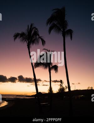 Wunderschöner Sonnenuntergang am Poipu 'Monk Seal' Beach auf Kauai, Hawaii. Hochwertiges Foto. Palmen mit Silhouetten am Himmel. Stockfoto