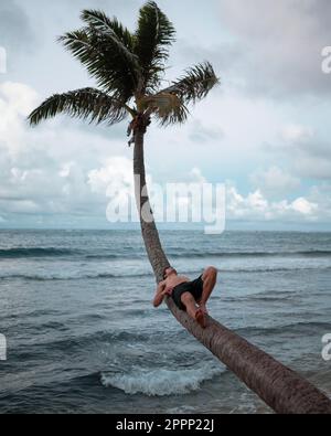 Ein Mann, der auf einer gebogenen Palme sitzt. Hochwertiges Foto. Während des Sonnenuntergangs auf Hawaiis Insel Oahu. Stockfoto