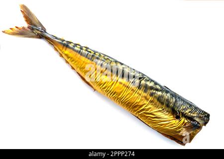 Hot Smoked Makrele Isolate auf weißem Hintergrund. Geräucherte Makrele Stockfoto