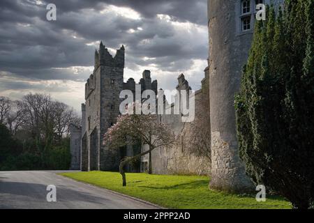 Howth Castle in der Nähe von Dublin, das in James Joyce's Finnegans Wake zu sehen war Stockfoto