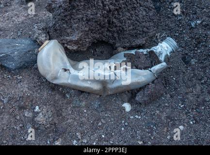 Zersetzung von Kunststoffflaschen auf Deponien. Stockfoto
