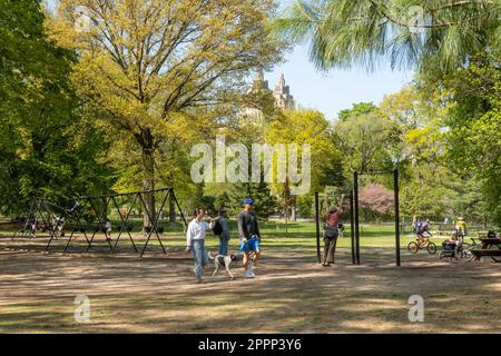 Der Spring Time Central Park ist eine wunderschöne urbane Oase in New York City, USA Stockfoto