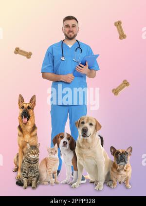 Collage mit Fotos des Tierarztes, Haustieren und Hundekeksen auf farbigem Hintergrund Stockfoto