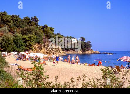 Troulos Beach, Skiathos, Sporaden, Thessalien, Griechenland Stockfoto