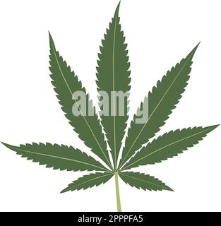 Cannabisblatt isoliert auf weißem Hintergrund. Marihuanablattsilhouette. Stock Vektor