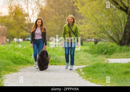 Mutter und Tochter mit Hund, die draußen im Park spazieren gehen. Konzept der Freizeit in der Natur und Aktivitäten im Freien mit Haustieren Stockfoto
