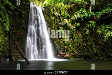 Wasserfall tief im Wald auf der Insel sao miguel azores portugal Stockfoto