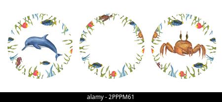 Set aus rundem, wasserfarbenem Rahmen im marinen Stil, isoliert auf weißem Hintergrund. Illustration mit süßen Meerestieren unter Pflanzen für Postkartenmotiv Stockfoto