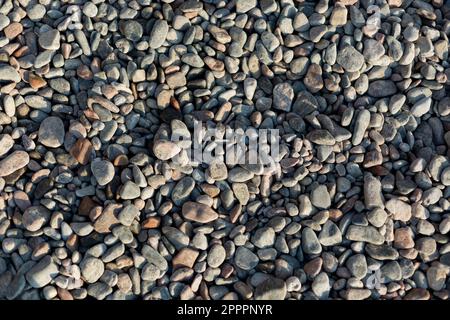 Die Hintergrundstruktur von Seekies. 3 Steine Stockfoto