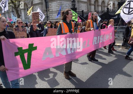 London, Großbritannien. 24. April 2023 Tieraufstieg. Am letzten Tag des XR's The Big One marschierten mehrere Tausend vom Parliament Square vorbei an der Downing Street und entlang des Strandes und überquerten die Waterloo Bridge, um mit einem Protest vor dem Shell Centre zu enden. Im märz hieß es, es gäbe keine Zukunft für fossile Brennstoffe. Peter Marshall/Alamy Live News Stockfoto