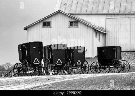 Buggys, die vor einer Scheune in einer Amish-Gemeinde in Zentral-Michigan, USA, geparkt sind [Keine Eigentumsfreigabe; nur redaktionelle Lizenzierung] Stockfoto