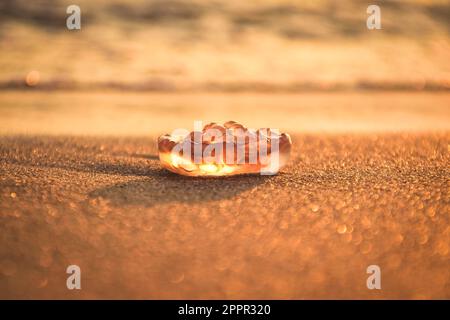 Abstraktes Konzept bei Sonnenuntergang über dem Meer. Leuchtende Quallen am Strand in Jastarnia, Polen. Foto mit geringer Schärfentiefe. Stockfoto