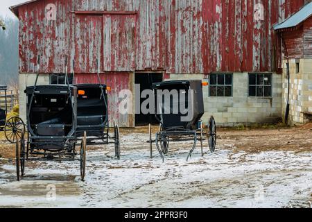 Buggys, die vor einer Scheune in einer Amish-Gemeinde in Zentral-Michigan, USA, geparkt sind [Keine Eigentumsfreigabe; nur redaktionelle Lizenzierung] Stockfoto