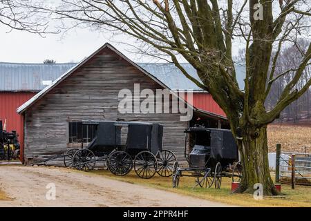 Treffen von Amish-Männern auf einem Bauernhof in einer Amish-Gemeinde in Zentral-Michigan, USA [Keine Veröffentlichung von Grundstücken; nur redaktionelle Lizenzierung] Stockfoto