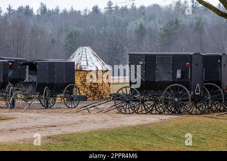 Treffen von Amish-Männern auf einem Bauernhof in einer Amish-Gemeinde in Zentral-Michigan, USA [Keine Veröffentlichung von Grundstücken; nur redaktionelle Lizenzierung] Stockfoto