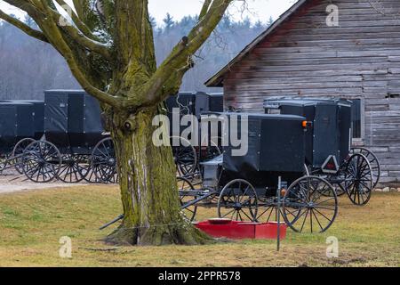 Treffen von Amish-Männern auf einem Bauernhof in einer Amish-Gemeinde in Zentral-Michigan, USA [Keine Veröffentlichung von Grundstücken; nur redaktionelle Lizenzierung] Stockfoto