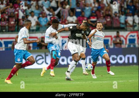 BA - SALVADOR - 04/24/2023 - BRASILEIRO A 2023, BAHIA X BOTAFOGO - Junior Santos Spieler aus Botafogo während eines Spiels gegen Bahia im Arena Fonte Nova Stadion für die BRAZILEIRO A 2023 Meisterschaft. Foto: Jhony Pinho/AGIF/Sipa USA Stockfoto