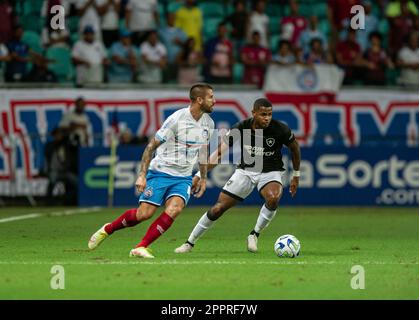 BA - SALVADOR - 04/24/2023 - BRASILEIRO A 2023, BAHIA X BOTAFOGO - Everaldo-Spieler aus Bahia während eines Spiels gegen Botafogo im Arena Fonte Nova Stadion für die BRAZILEIRO A 2023 Meisterschaft. Foto: Jhony Pinho/AGIF/Sipa USA Stockfoto