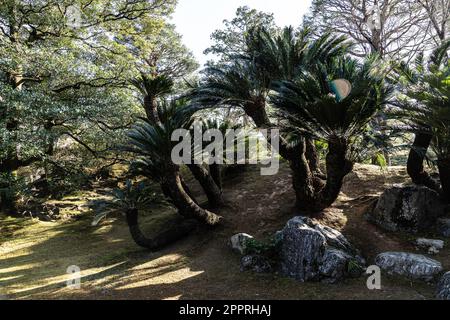 Die Kaiservilla Katsura wurde im 17. Jahrhundert als Fürstentum erbaut und ist eines der besten Beispiele japanischer Architektur und Gartendesign. Stockfoto