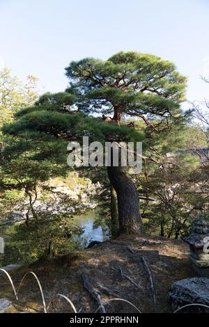 Die Kaiservilla Katsura wurde im 17. Jahrhundert als Fürstentum erbaut und ist eines der besten Beispiele japanischer Architektur und Gartendesign. Stockfoto