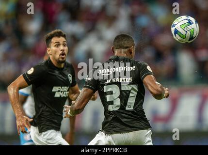 BA - SALVADOR - 04/24/2023 - BRASILEIRO A 2023, BAHIA X BOTAFOGO - Junior Santos Spieler aus Botafogo während eines Spiels gegen Bahia im Arena Fonte Nova Stadion für die BRAZILEIRO A 2023 Meisterschaft. Foto: Jhony Pinho/AGIF/Sipa USA Stockfoto